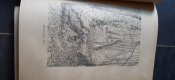 20220614_131202.jpg