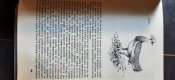 20220614_131300.jpg