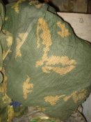 DSC08081.JPG