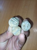 Заглушки для снарядів