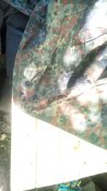 IMG_20220619_093329.jpg