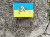 IMG_20220619_125122.jpg