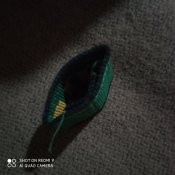 погони швейцарія. 10