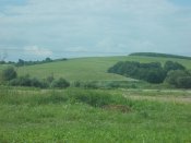 DSCN0343.JPG