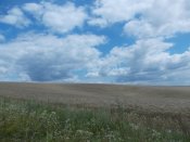 DSCN0425.JPG