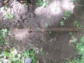 DSCN0428.JPG