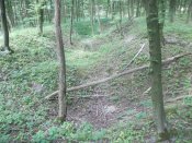 DSCN0430.JPG