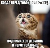 IMG-78522e9ff548e5d91267a68d7f34cc58-V.jpg