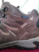 IMG_20220622_141318.jpg