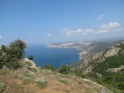 IMG_4320.JPG