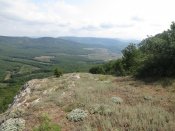 IMG_4323.JPG