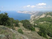 IMG_4325.JPG