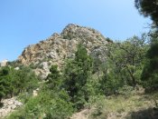 IMG_4343.JPG