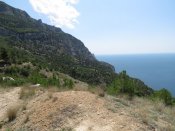 IMG_4344.JPG