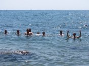 IMG_4348.JPG