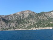 IMG_4377.JPG