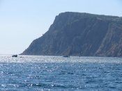 IMG_4382.JPG