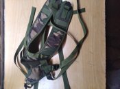 IMG_20220625_085517[1].jpg