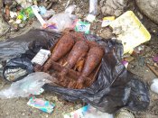cmnt_20130209_103828.jpg