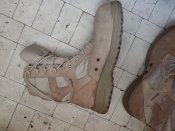 IMG_20220626_131300.jpg