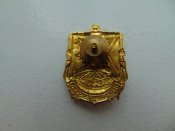 Знак Подводник России
