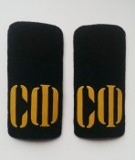 Погоны СФ ДМБ