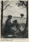 Meldehund_1.jpg