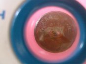 SP_A0020.jpg