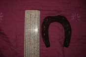 DSC01459.jpg