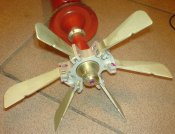 DSC06657.jpg