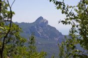 IMG_2546.JPG