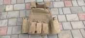 Plate Carrier.
