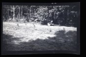 Nebelwerfer9.jpg