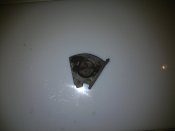 20130724_104409.jpg