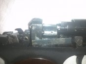 IMG479.jpg