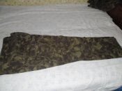 SAM_0245.JPG