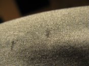 IMG_2480.JPG