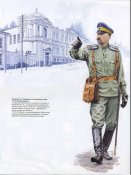 Погоны полка им. Богдана Хмельницкого 1917 - 1921 г