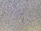 20220709_162651.jpg