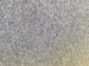 20220709_162657.jpg