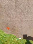 20220709_162733.jpg