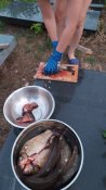 IMG_20220619_212419.jpg