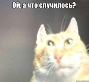Чубара 5.jpg