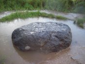 100_2833.jpg