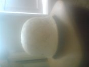 DSC00312.jpg