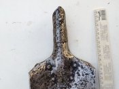 Саперка німецька ПСВ