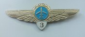 Классность Гражданская Авиация/Лётчик 3 кл.