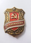 Дружинник