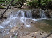 waterfall2.jpg