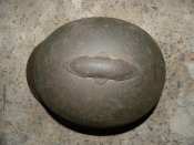 DSCN8710.JPG